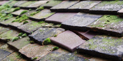 Trawsgoed roof repair costs